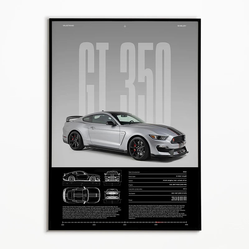 Affiche du plan de la Mustang GT 350